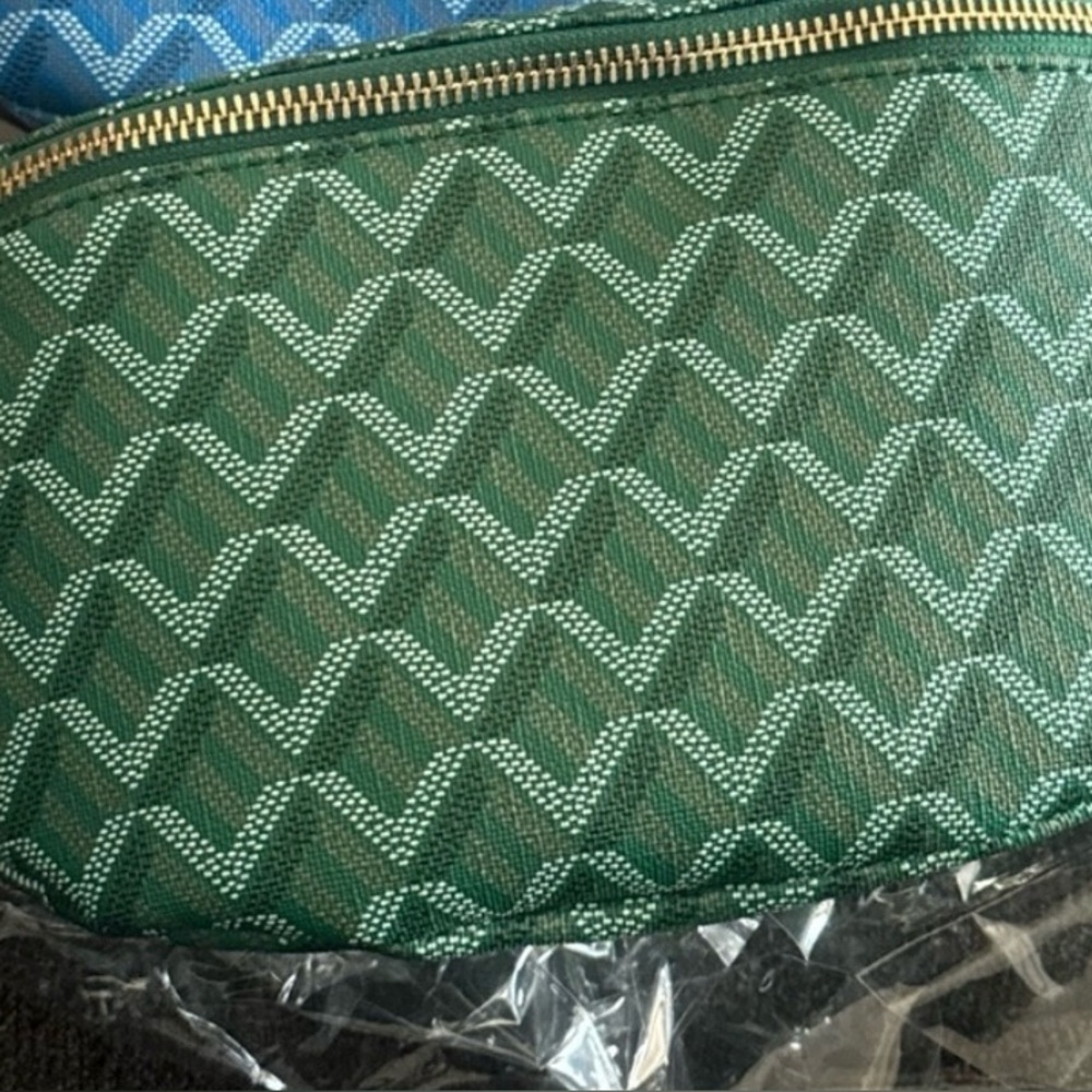 Stylish Blue and Green Women's Bum Bag